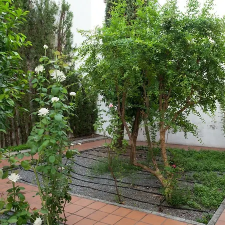 De Lujo En Antiguo Convento 格拉纳达
